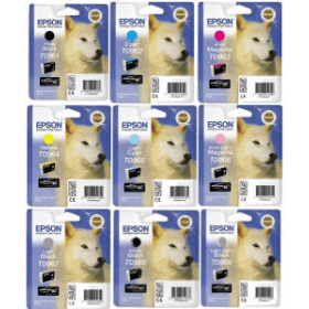 Click to view product details and reviews for Epson T096 9 Ink Cartridge Multipack Husky Original.