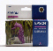 T0483 Epson Original Magenta Ink Cartridge