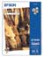S041256 Original Epson A4 Matte Paper 167g x50