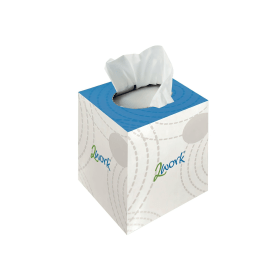 2Work Facial Tissues Cube 2 Ply 70 Sheets 24 Pack 492093 F