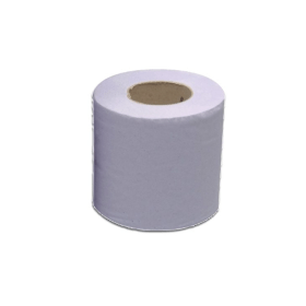 2Work Hygiene Roll 250mm x 40m 2 Ply Blue 24 Pack 370762 F