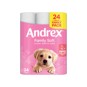 Andrex Family Toilet Roll 2 Ply 170 Sheets 24 Pack 918333 F