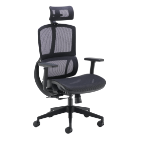 Arista Lena High Back Executive Chair 700mm x 700mm x 1120 1250mm Mesh Back Black 575366 F