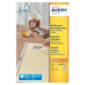 Avery Removable Labels 45.7mm x 21.2mm 48 Per Sheet White 1200 Pack 113440 F