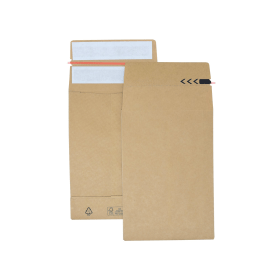 Bong E Green 40mm Gusset Peel and Seal Mailer 210gsm C5 Manilla 250 Pack 611750 F