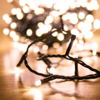 All Fairy Lights