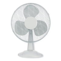 Fans