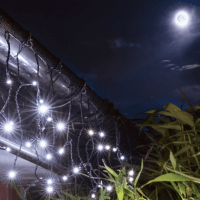 Icicle Lights