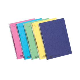 Clairefontaine Europa Notemaker 120 Pages A4 Assortment C 10 Pack 144027 F