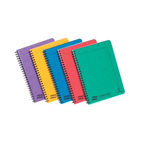 Clairefontaine Europa Notemaker 120 Pages A5 Assortment A 10 Pack 109945 F