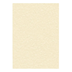 Decadry Champagne Parchment Paper 100 Sheets A4 LX13498 F