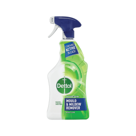 Dettol Mould and Mildew Remover 750ml 770878 F