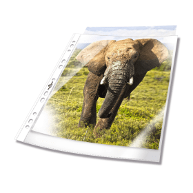 Durable Business Punched Pocket A4 Clear 100 Pack 880260 F