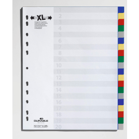 Durable Subject Divider 20 Part A4 White Assorted 675927 880256 F