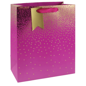 Eurowrap Gift Bag Pink Ombre Large 6 Pack EU49344 F