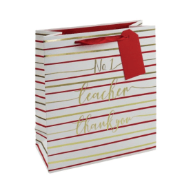 Eurowrap No1 Teacher Bag Medium 6 Pack 924804 F
