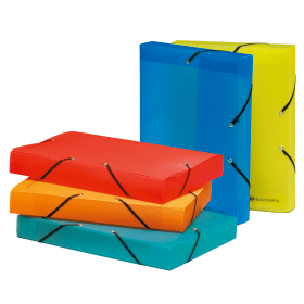 Exacompta Linicolor Filing Box PP 40mm Spine A4 Assorted 11 Pack 563981 F