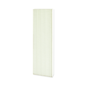 Fellowes DX5 Small True HEPA Filter 408447 F