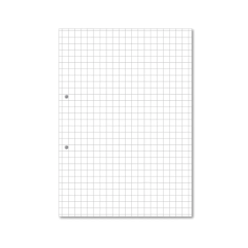 Hamelin A4 Loose Leaf Squared Paper 1000 Sheets 5 Pack JD95457 F