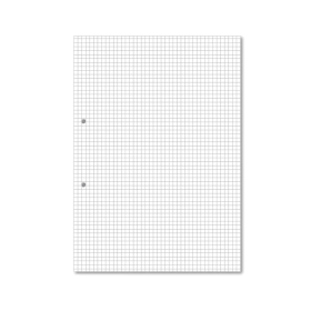 Hamelin A4 Loose Leaf Squared Paper 1000 Sheets 5 Pack JD95463 F