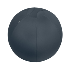 Leitz Ergo Cosy Active Sitting Ball Velvet Grey 758900 F