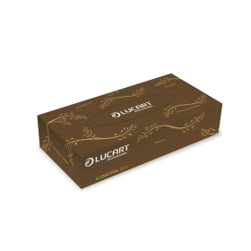 Lucart EcoNatural Facial Tissues 100 Sheets 40 Pack 776285 F