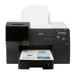 Epson B500DN