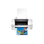 Epson Stylus Color 880T
