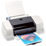 Epson Stylus Photo 875