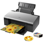 Epson Stylus Photo R285
