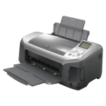 Epson Stylus Photo R300
