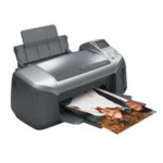 Epson Stylus Photo R310