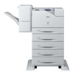 Epson WorkForce AL-C500DXN