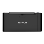 Pantum P2516