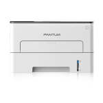 Pantum P3010D