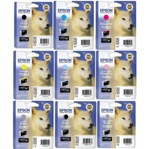 Epson T096 (Husky)