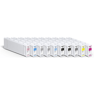 Epson T800