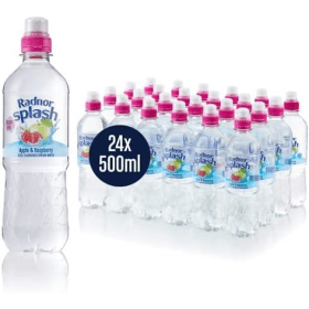 Radnor Hills Splash Apple Raspberry Still Water 500ml 24 Pack 827972 F