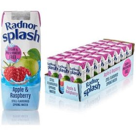 Radnor Hills Splash Apple Raspberry Water 250ml 24 Pack 893670 F