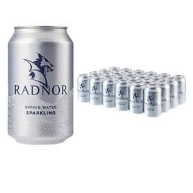 Radnor Spring Sparkling Water 330ml 24 Pack 775824 F