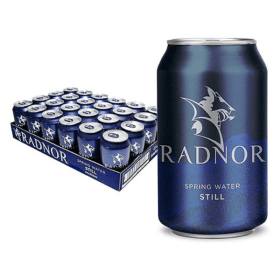 Radnor Spring Water Still 330ml 24 Pack 760139 F