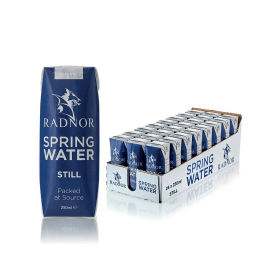 Radnor Still Spring Water 250ml 24 Pack 794255 F