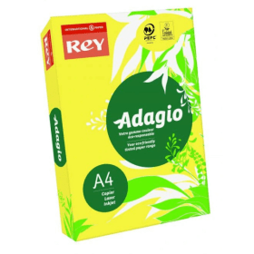 Rey A4 Citrus Paper 80gsm 500 Sheets FSC Certified ADAGI080X988