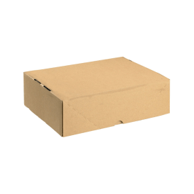 Value Carton with Lid Single Wall 305mm x 215mm x 100mm Brown 10 Pack 221766 F