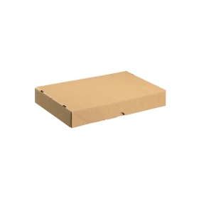 Value Carton with Lid Single Wall 305mm x 215mm x 50mm Brown 10 Pack 154346 F