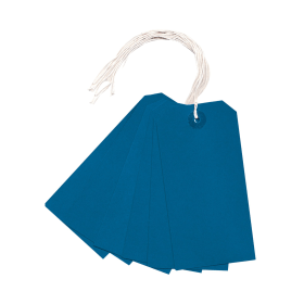 Value Strung Tag 120mm x 60mm Blue 1000 Pack 149620 F