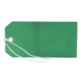 Value Strung Tag 120mm x 60mm Green 1000 Pack 167526 F