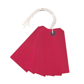 Value Strung Tag 120mm x 60mm Red 1000 Pack 151299 F