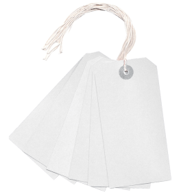 Value Strung Tag 120mm x 60mm White 1000 Pack 105078 F